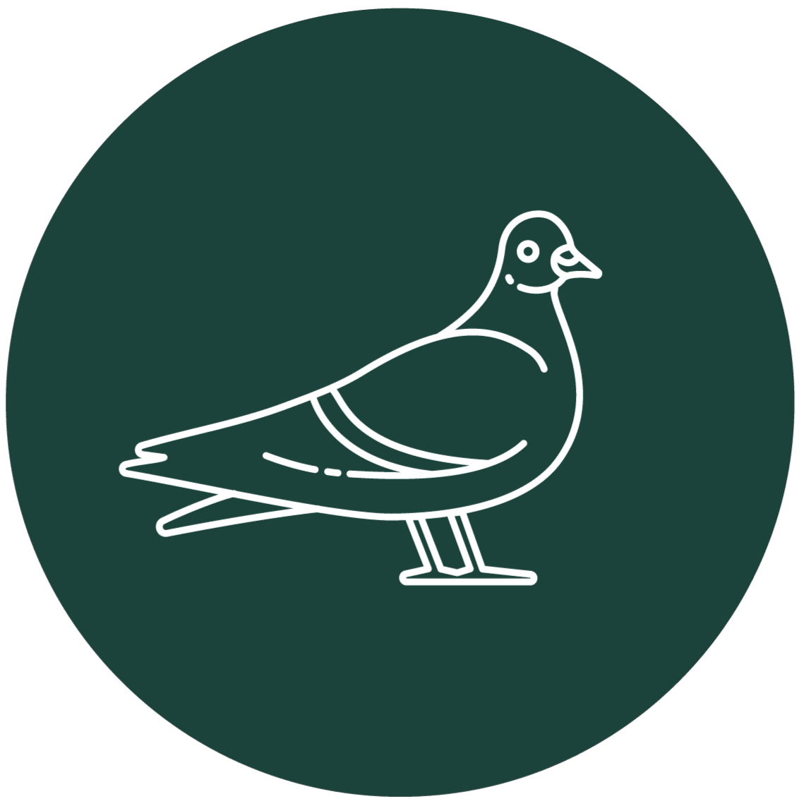 Professional Pigeon Removal Service