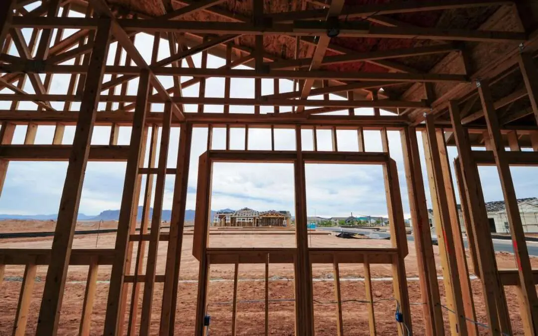 Importance of Pest Control for New Construction Builds