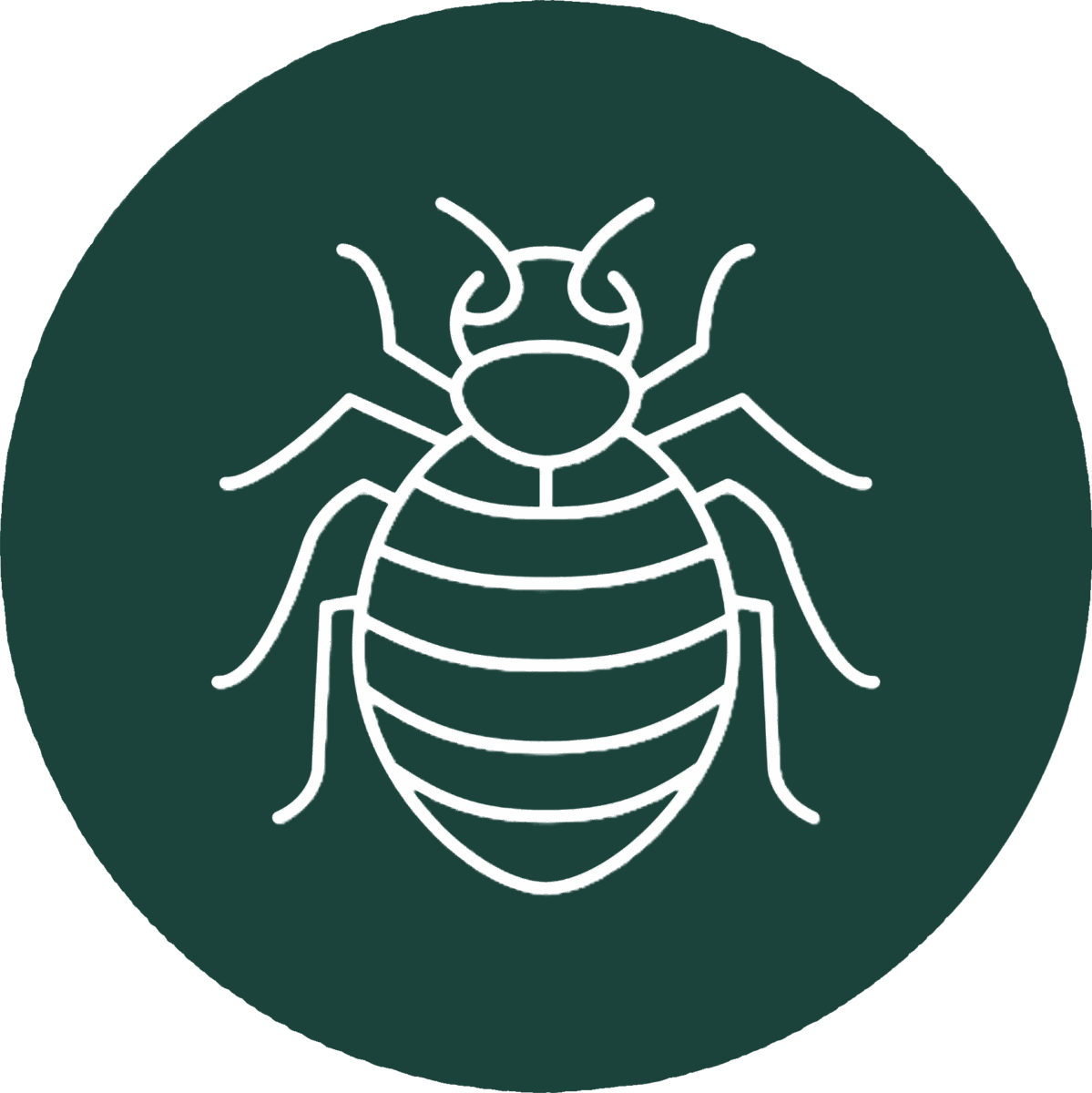 Bed bug icon