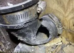 Chewed plumbing pipe discovered during rodent inspection inside Phoenix home wall