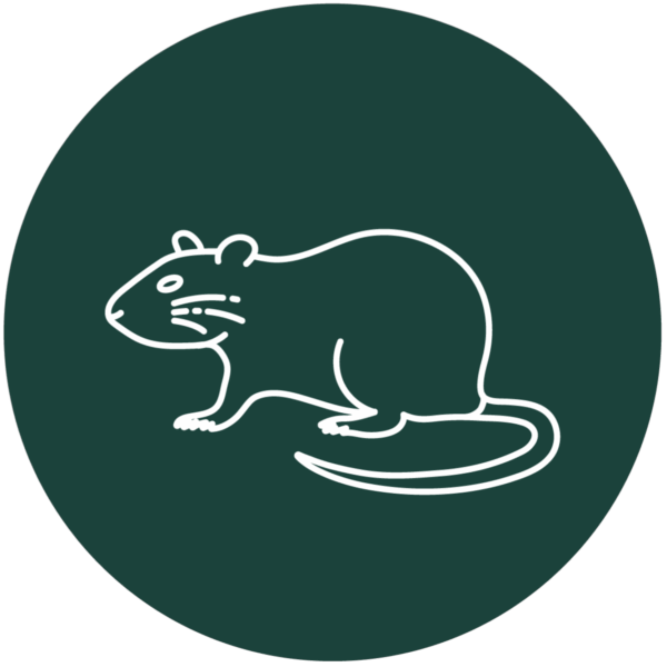 Rodent Protection