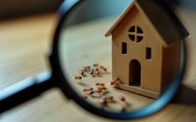 How Different Methods of Pest Control Work Together Against AZ Pests