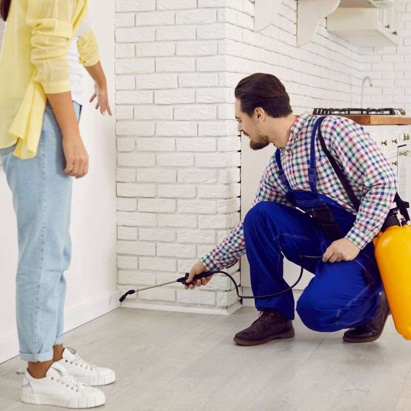 Exterminator at work