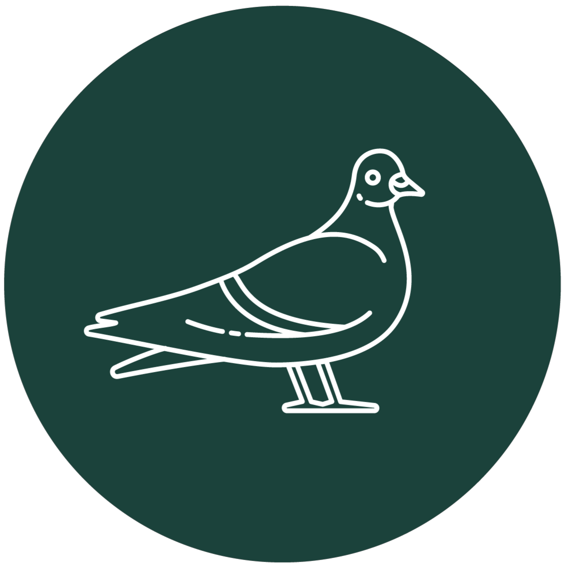 Pigeons