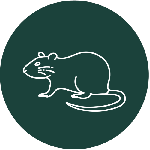 Rodent Protection