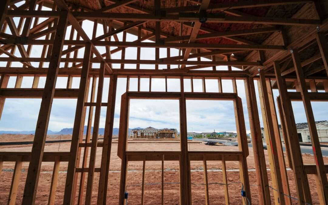 Importance of Pest Control for New Construction Builds