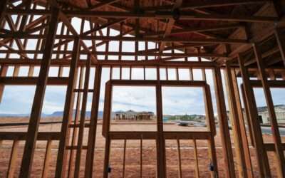 Importance of Pest Control for New Construction Builds